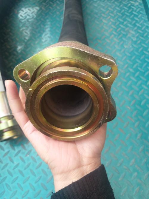 野鸭子的窝建在什么地方 野鸭子的窝建在什么地方