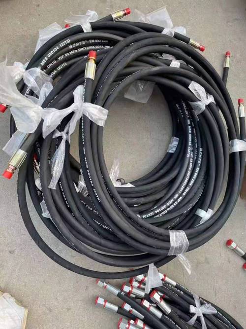 广州狮球胶管打压多少